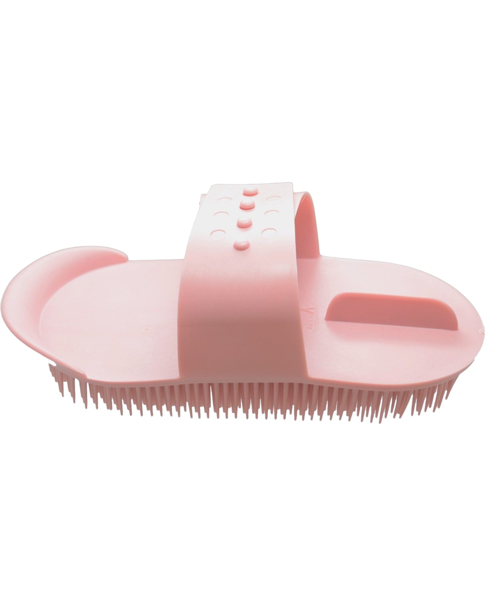 Horse cleaning brush conifer DIFFERENT COLORS