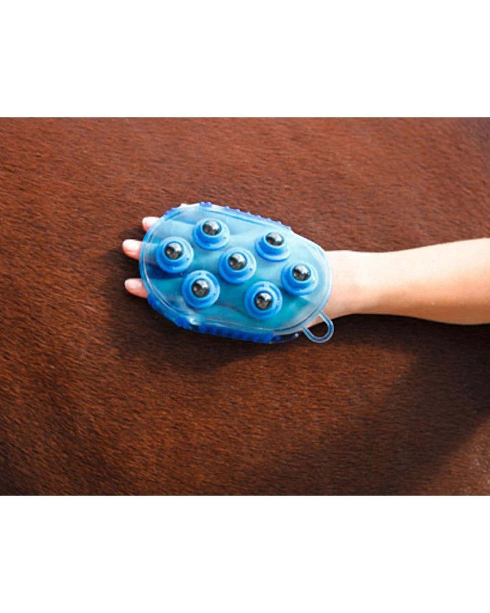 Horse massage brush various colors