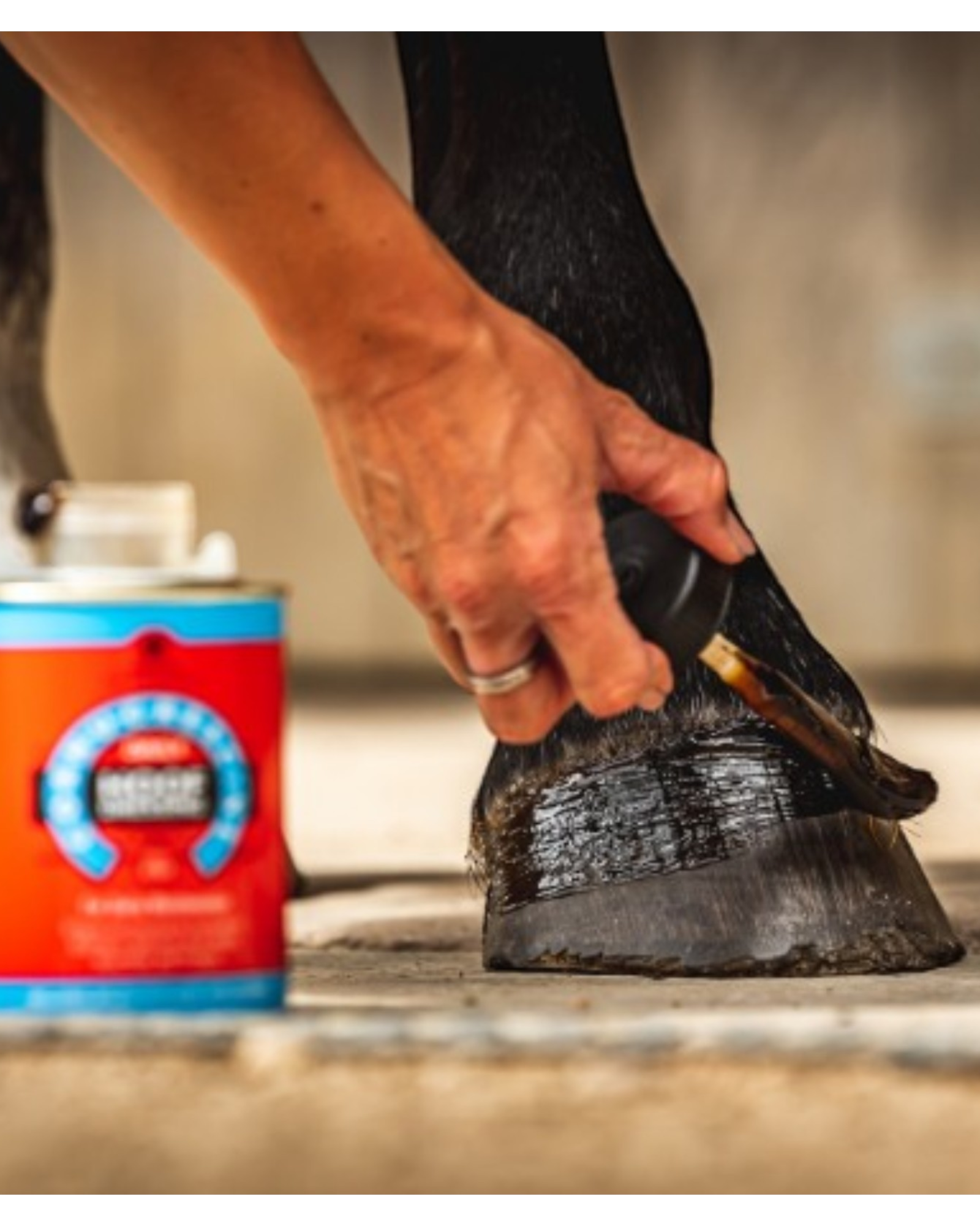 C&D&M CORNUCRESCINE DAILY HOOF DRESSING, hoof grease with brush 500ml