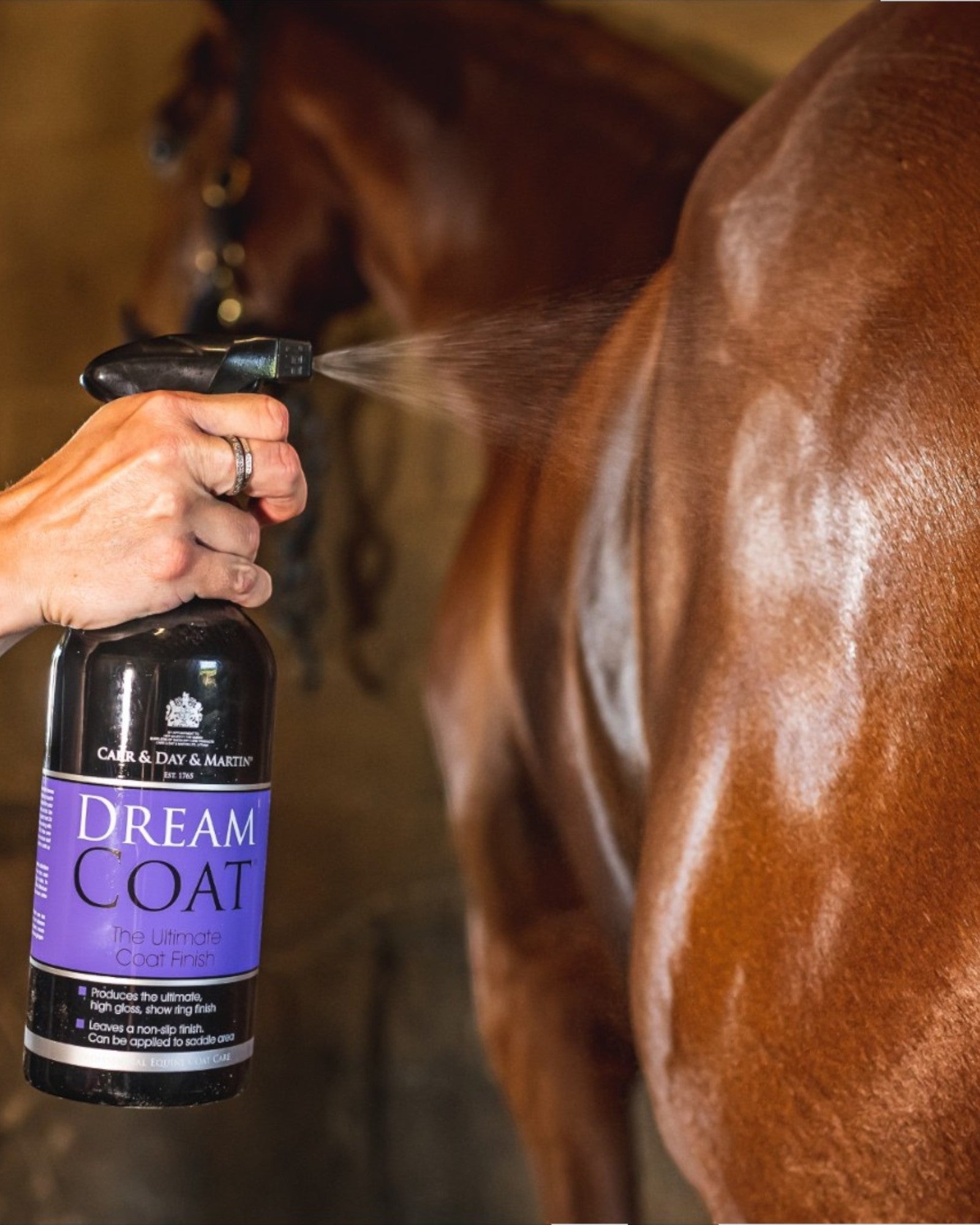 Horse Coat and Mane Shine - Highest Gloss C&D&M