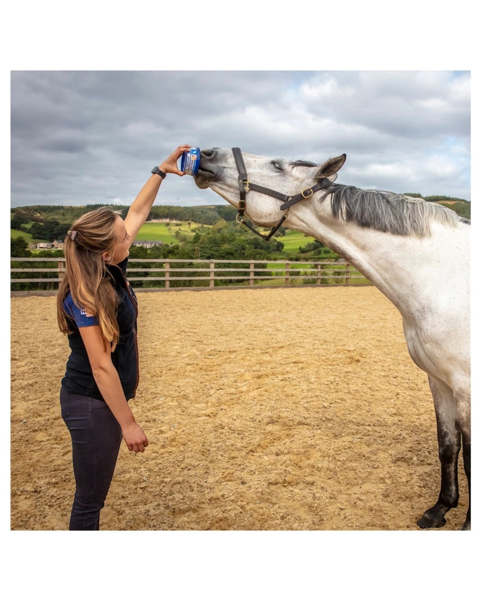 Horslyx Mini assorted flavors 650g horse lick