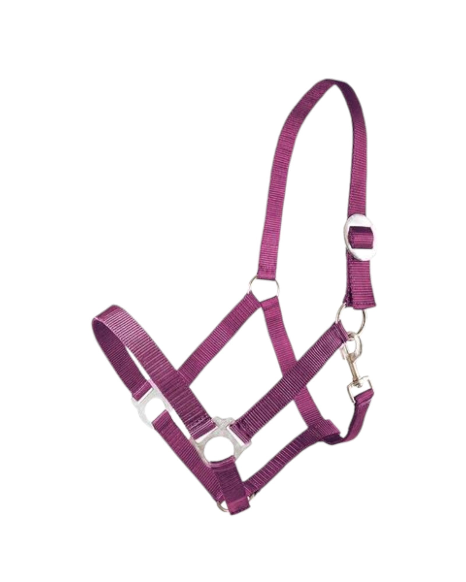 Standard paddock horse halter BASIS VARIOUS COLORS