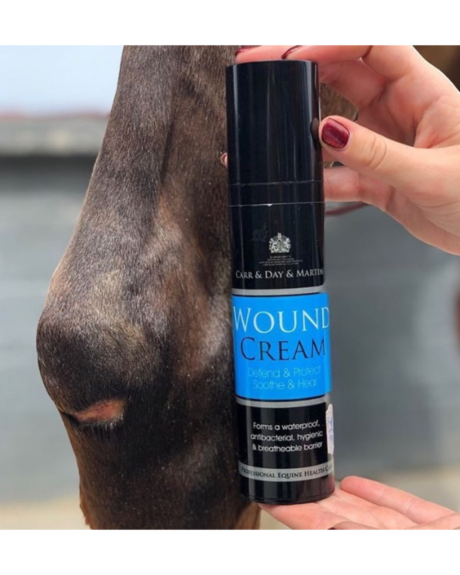 Carr&Day&Martin WOUND CREAM, cream for wounds and lumps 200g