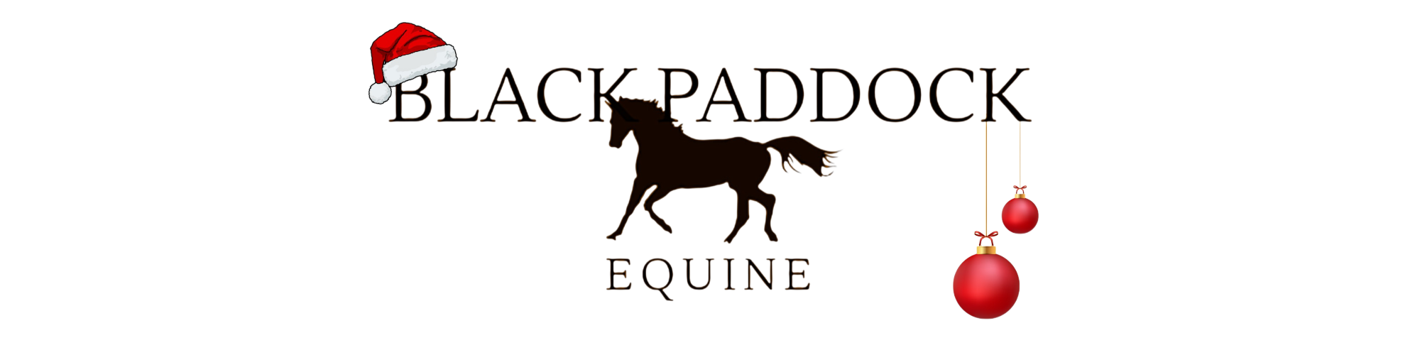 Black Paddock Equine