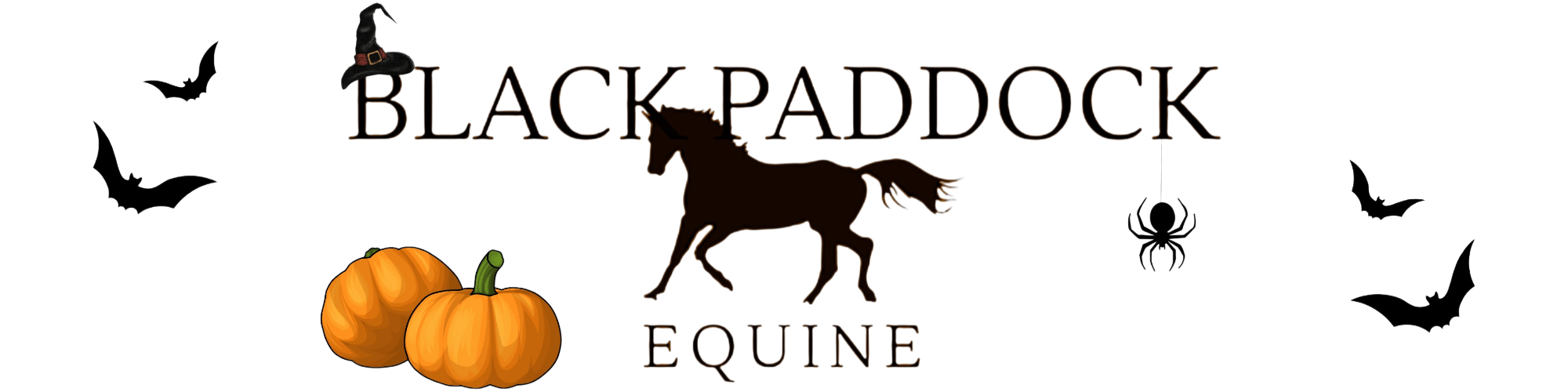 Black Paddock Equine