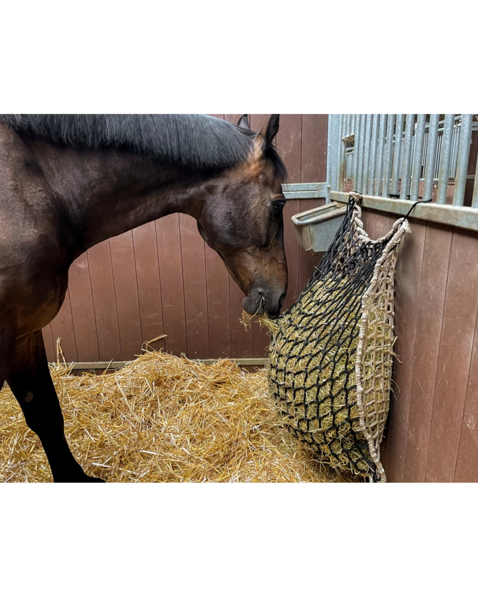 Hay Slow Feeder Net 10 kg (60/45 mm) – Durable hay net for horses