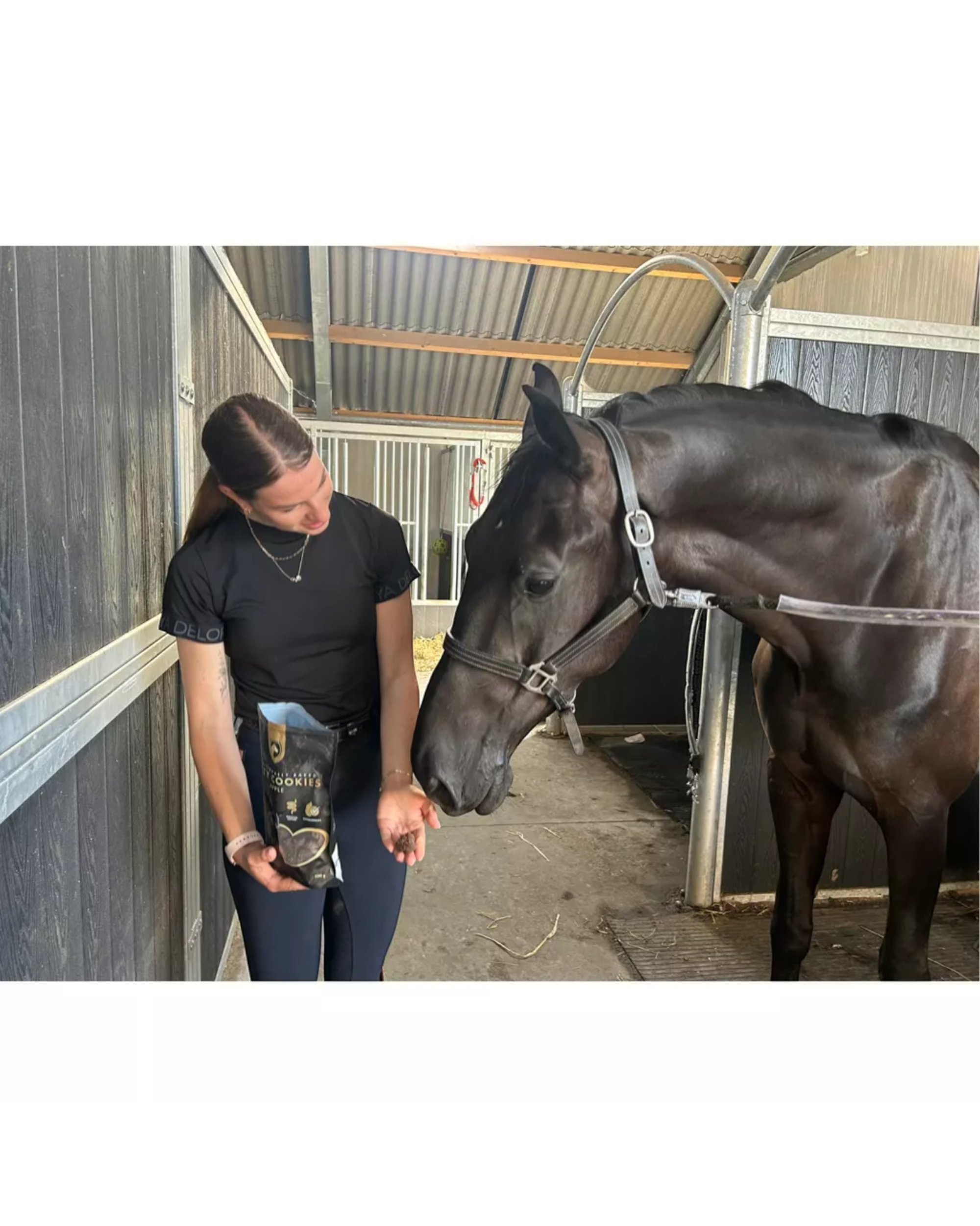 Excellent Horse Sweet Blocks Carrot treats for horses in various flavors