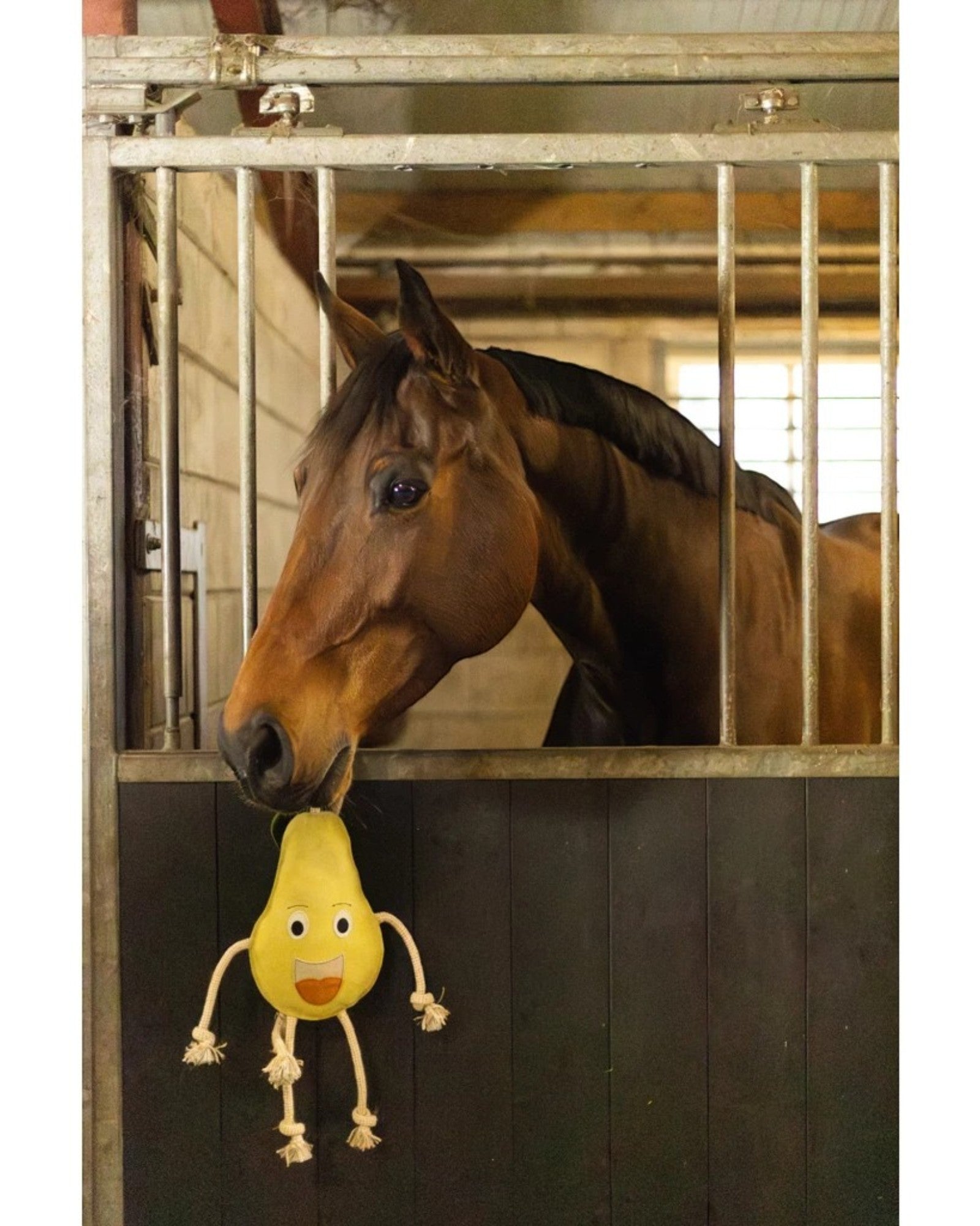 Excellent Horse Foodie Friends Pear – Anti-stress toy for horses