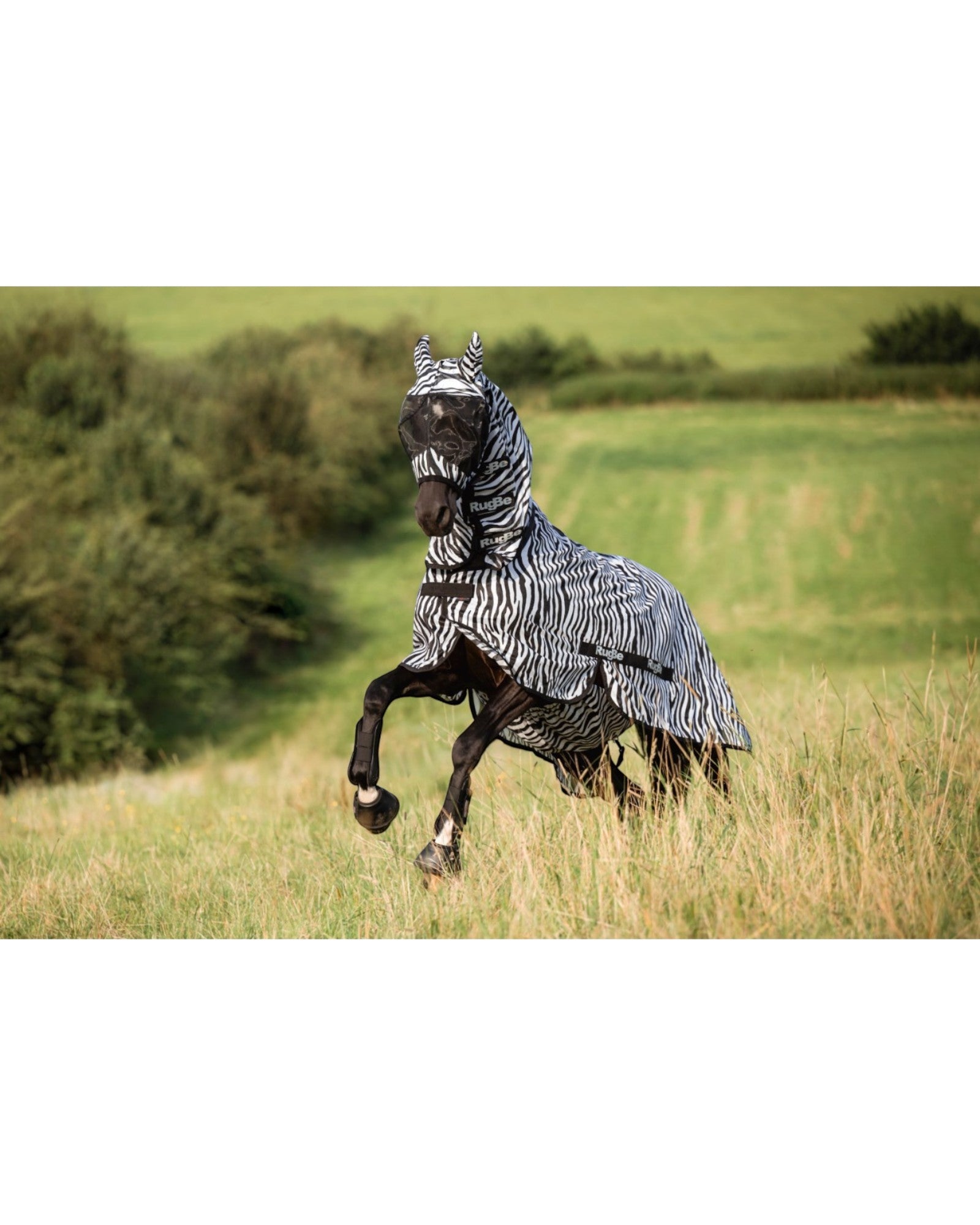 Insect, fly and eczema blanket zebra with neck opening various sizes