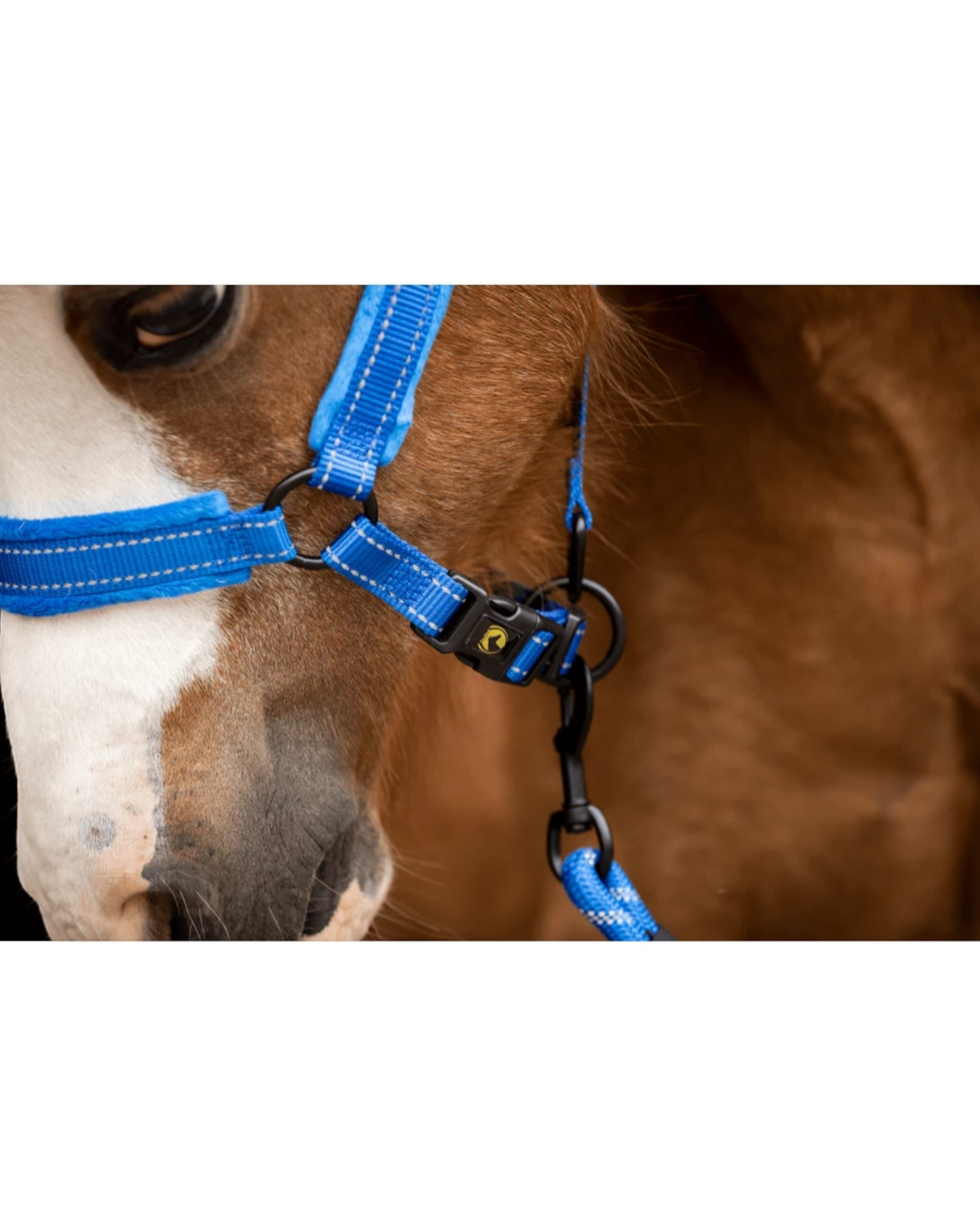 Excellent Horse Superior Blue Halter – soft + reflective