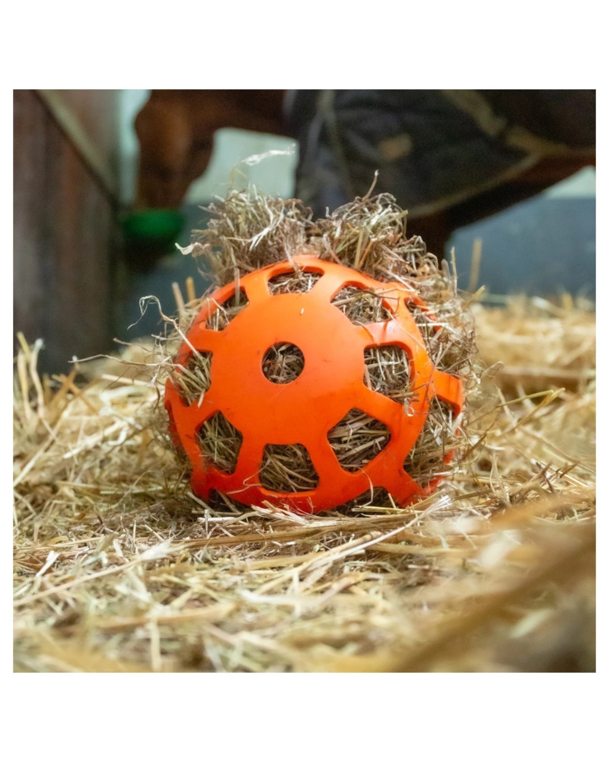 Hay Slow Feeder Fun & Flex – a toy and slow feeder for horses