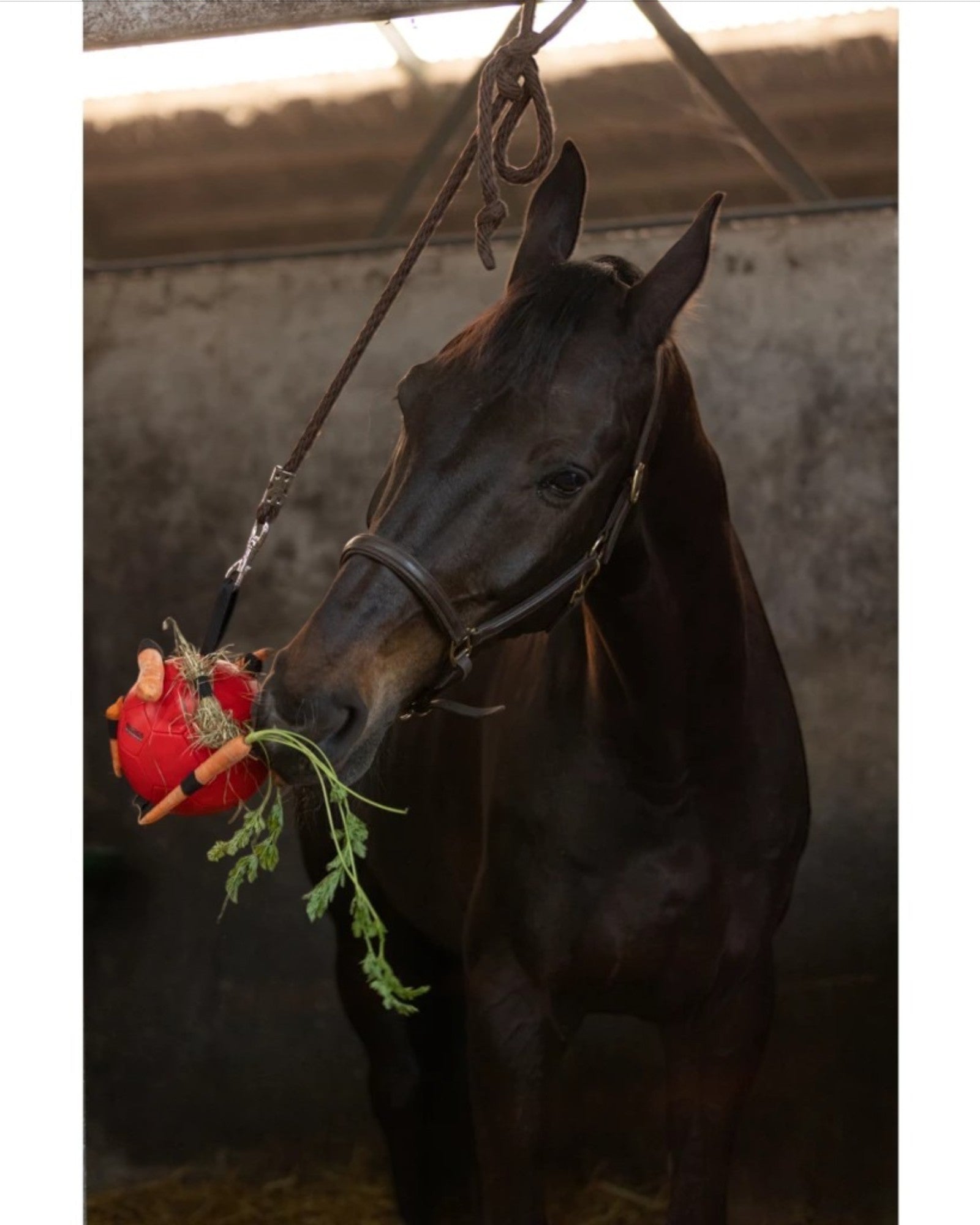 Excellent Horse Fun Play Ball Red – anti-stress ball for horses 19 cm