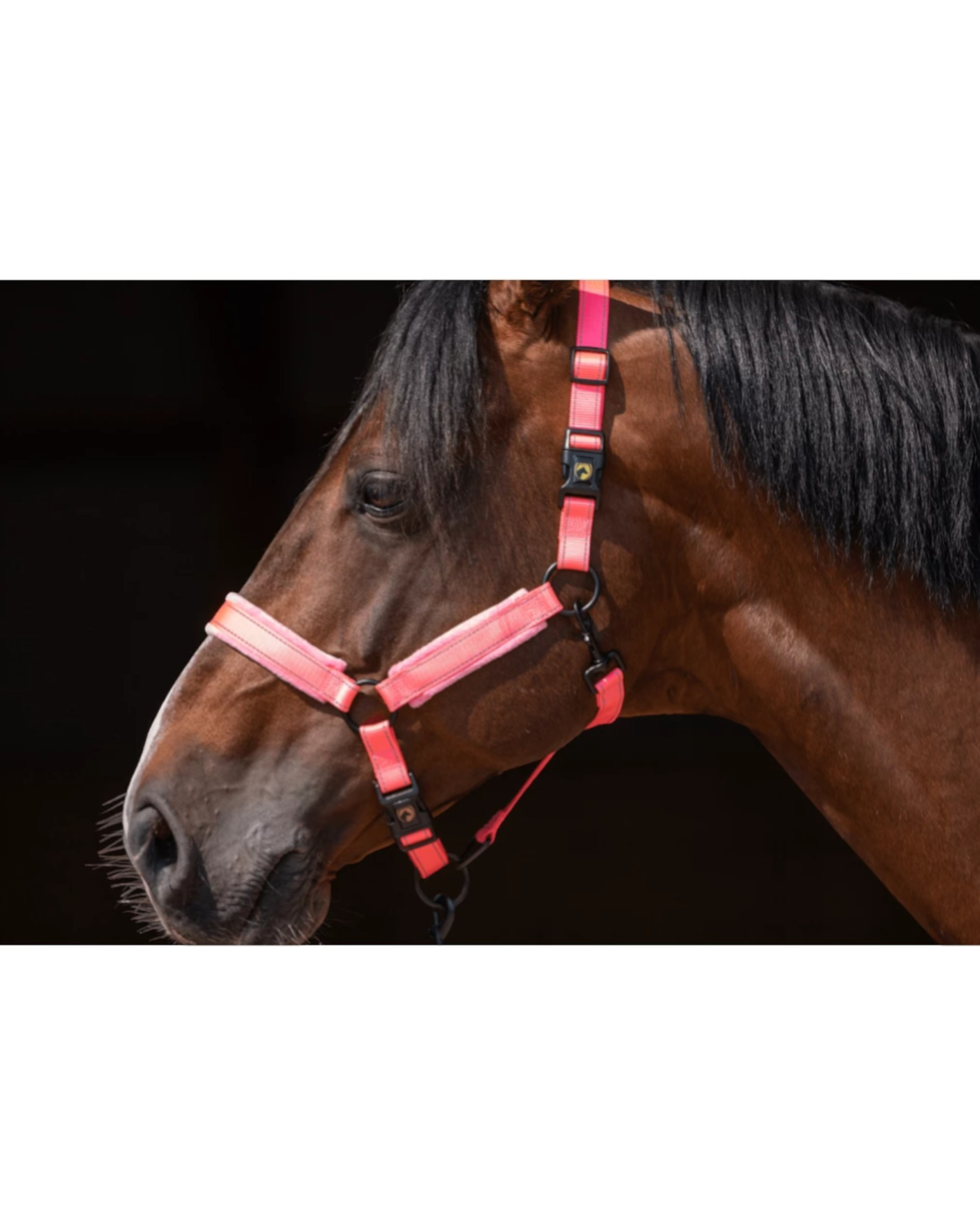 Excellent Horse Superior Pink Halter – soft + reflective