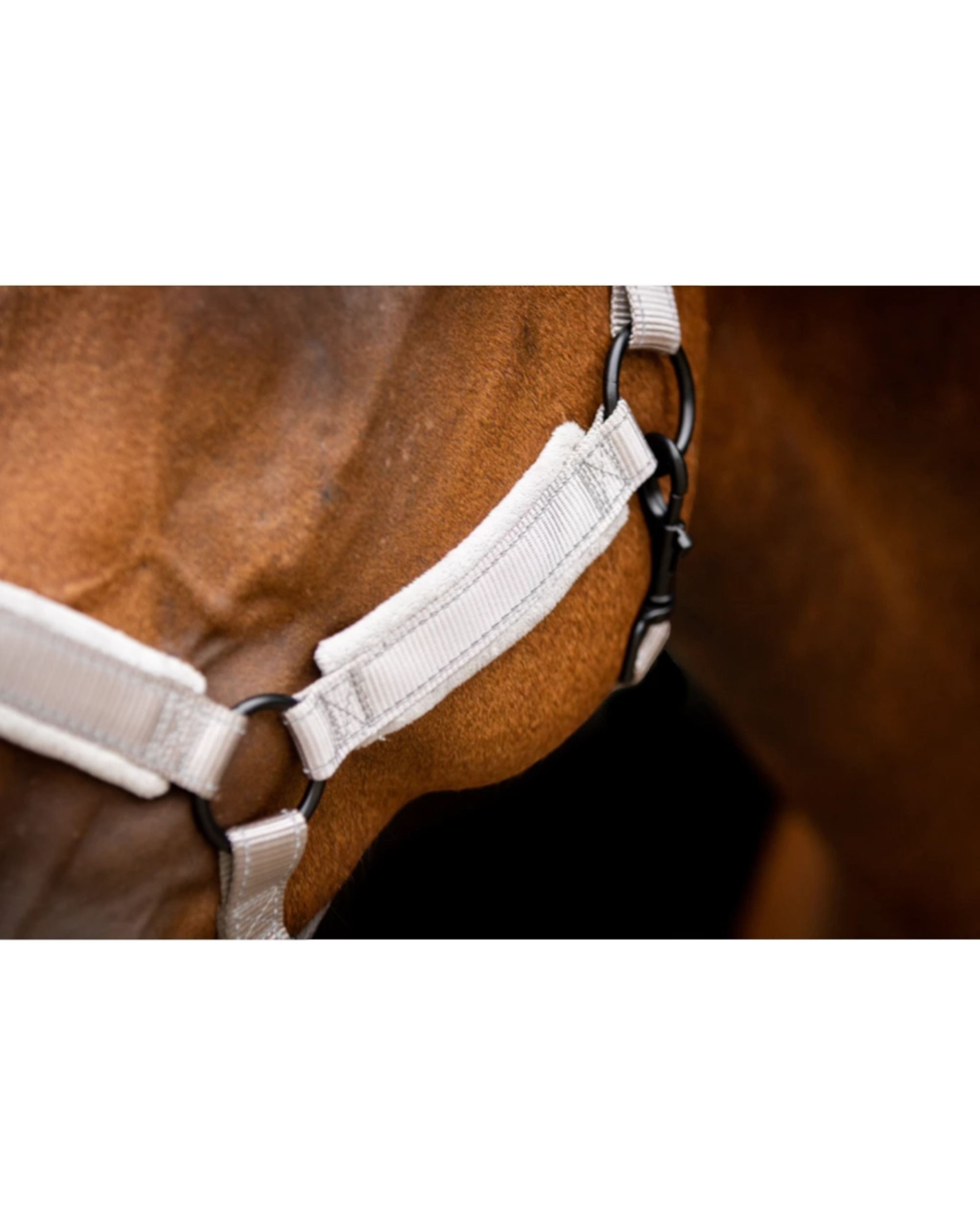 Excellent Horse Superior Grey Halter – soft + reflective