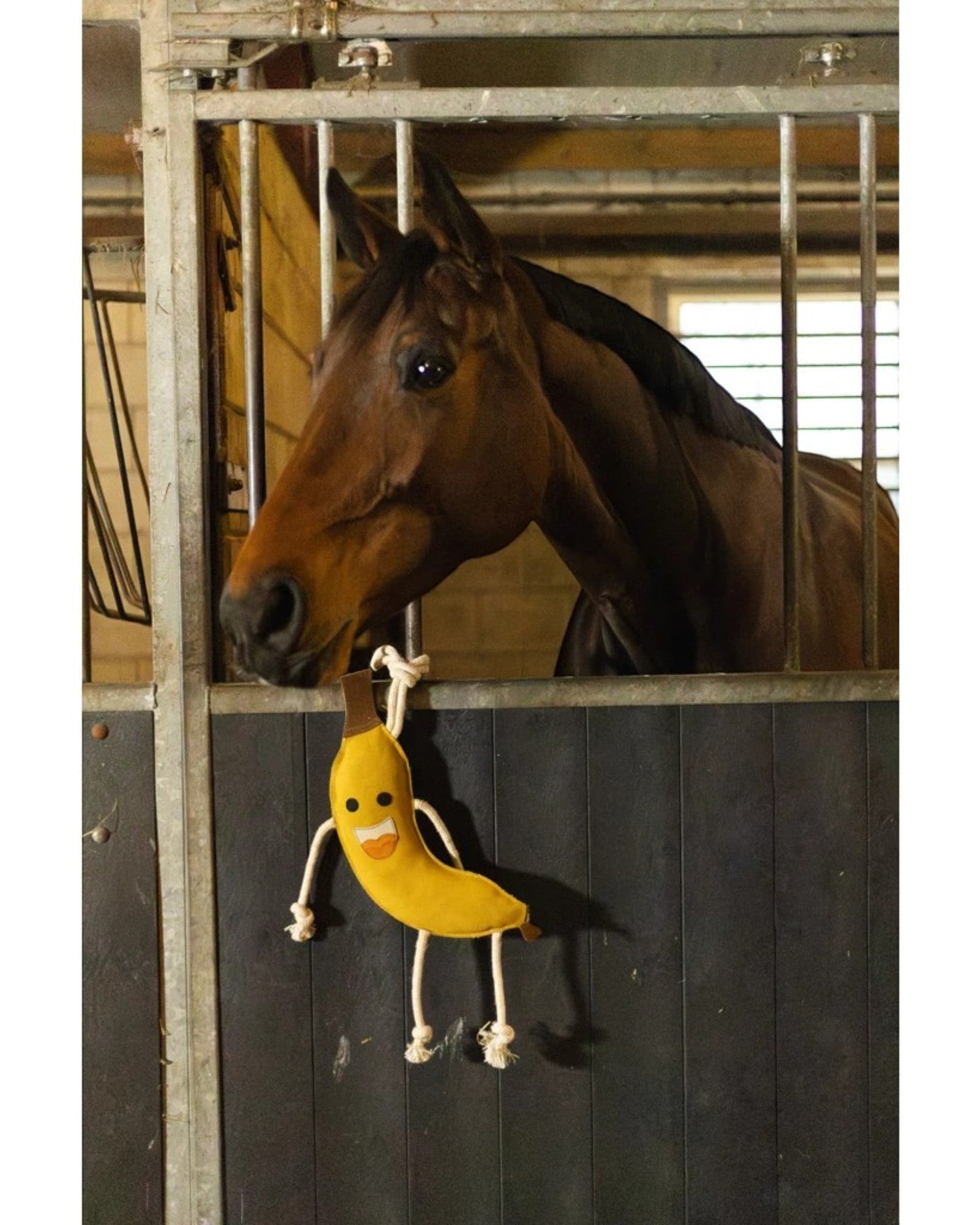 Excellent Horse Foodie Friends Banana – anti-stress toy for horses
