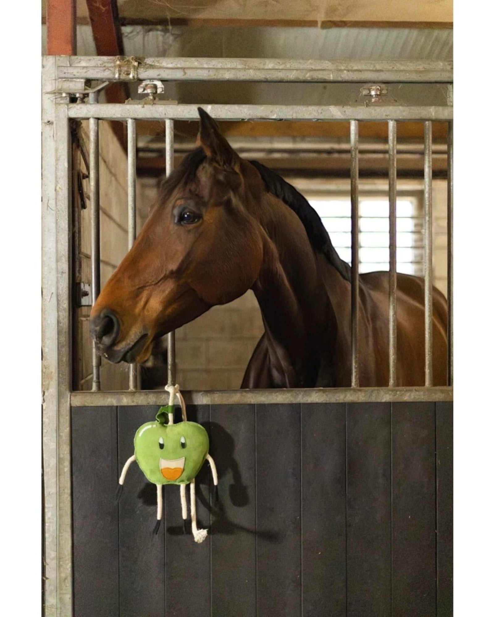 Excellent Horse Foodie Friends Apple – Anti-Stress Toy for Horses
