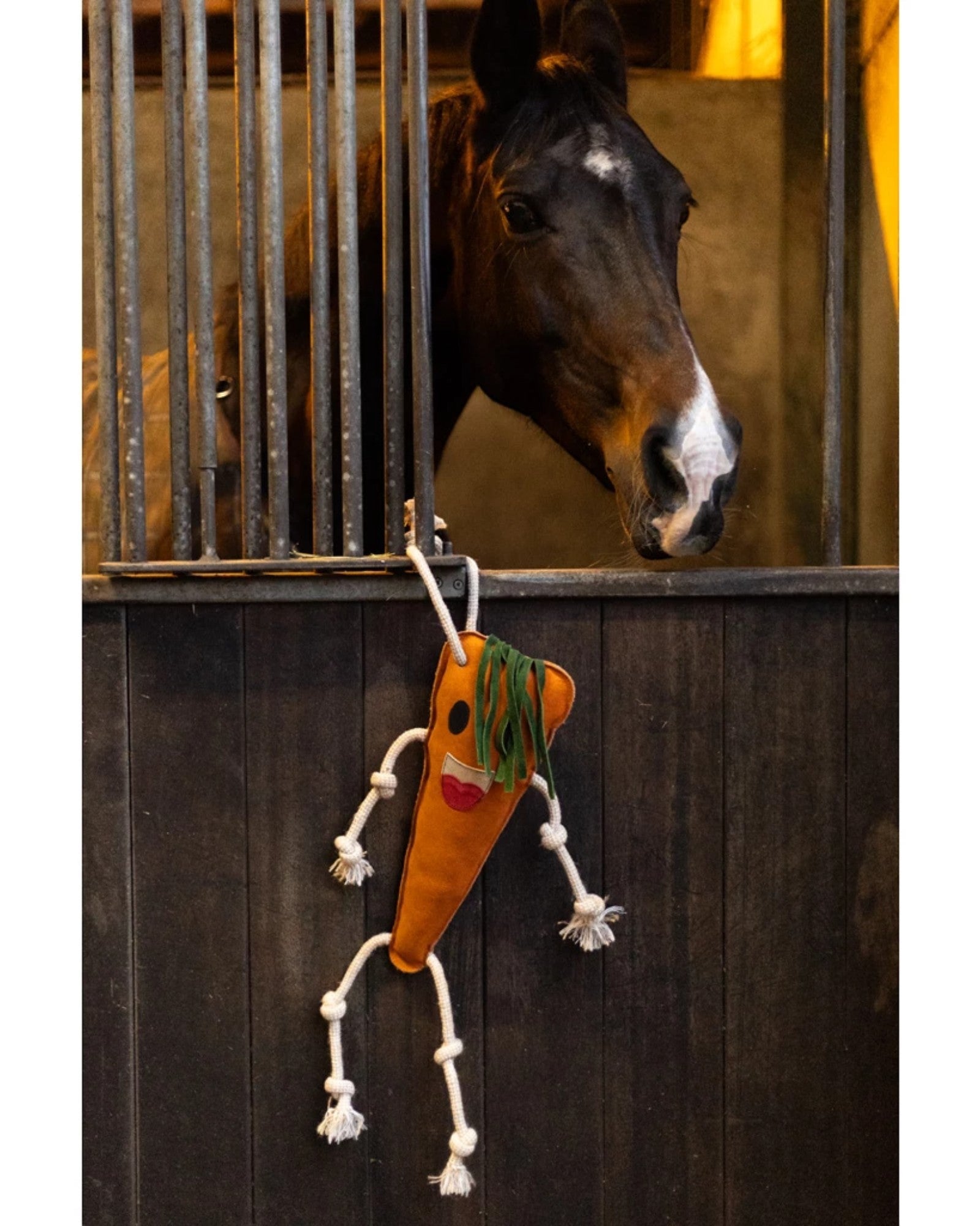 Excellent Horse Foodie Friends Carrot – anti-stress toy for horses