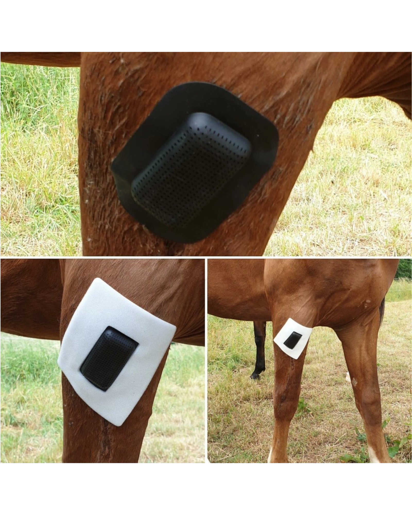 Rheva Kombo Wound Protection Wound Plaster