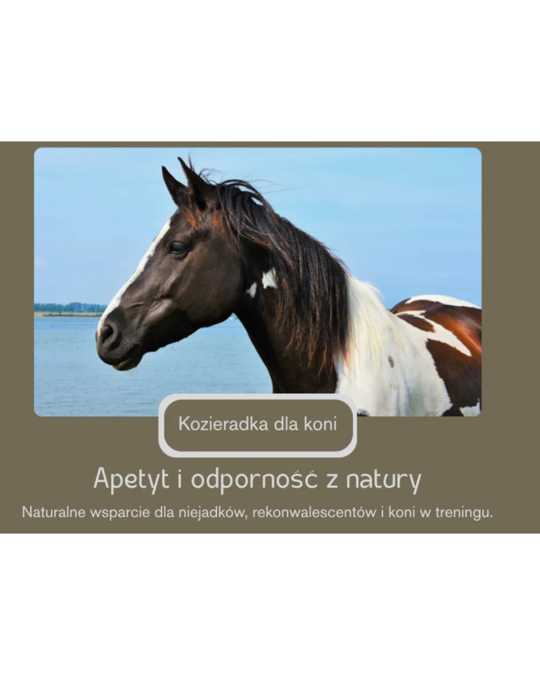 🌱 Kozieradka dla koni – naturalny sposób na apetyt, masę i zdrowie! 🐴