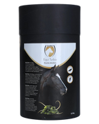 Excellent Horse Turbo, supports muscle building and improves horse performance