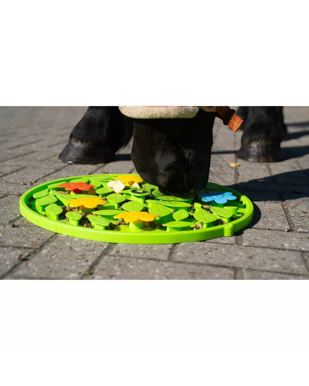 Excellent Horse Snuffle Mat Flower Power – Snuffle Mat for Horses
