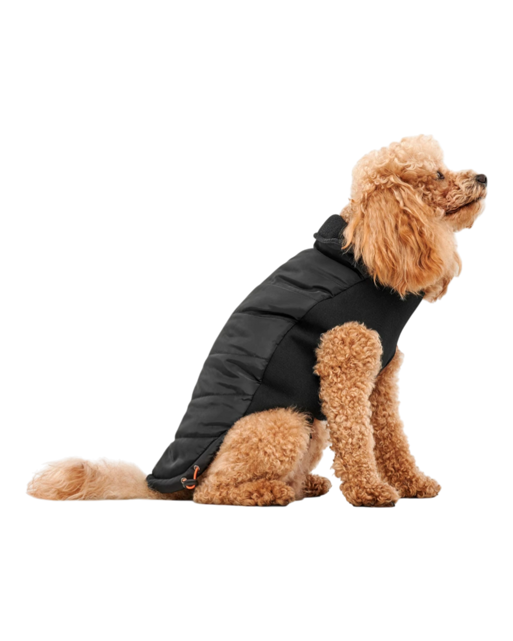 Goo-eez Mock Neck Signature Wrap Dog Jacket – Black