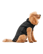 Goo-eez Mock Neck Signature Wrap Dog Jacket – Black