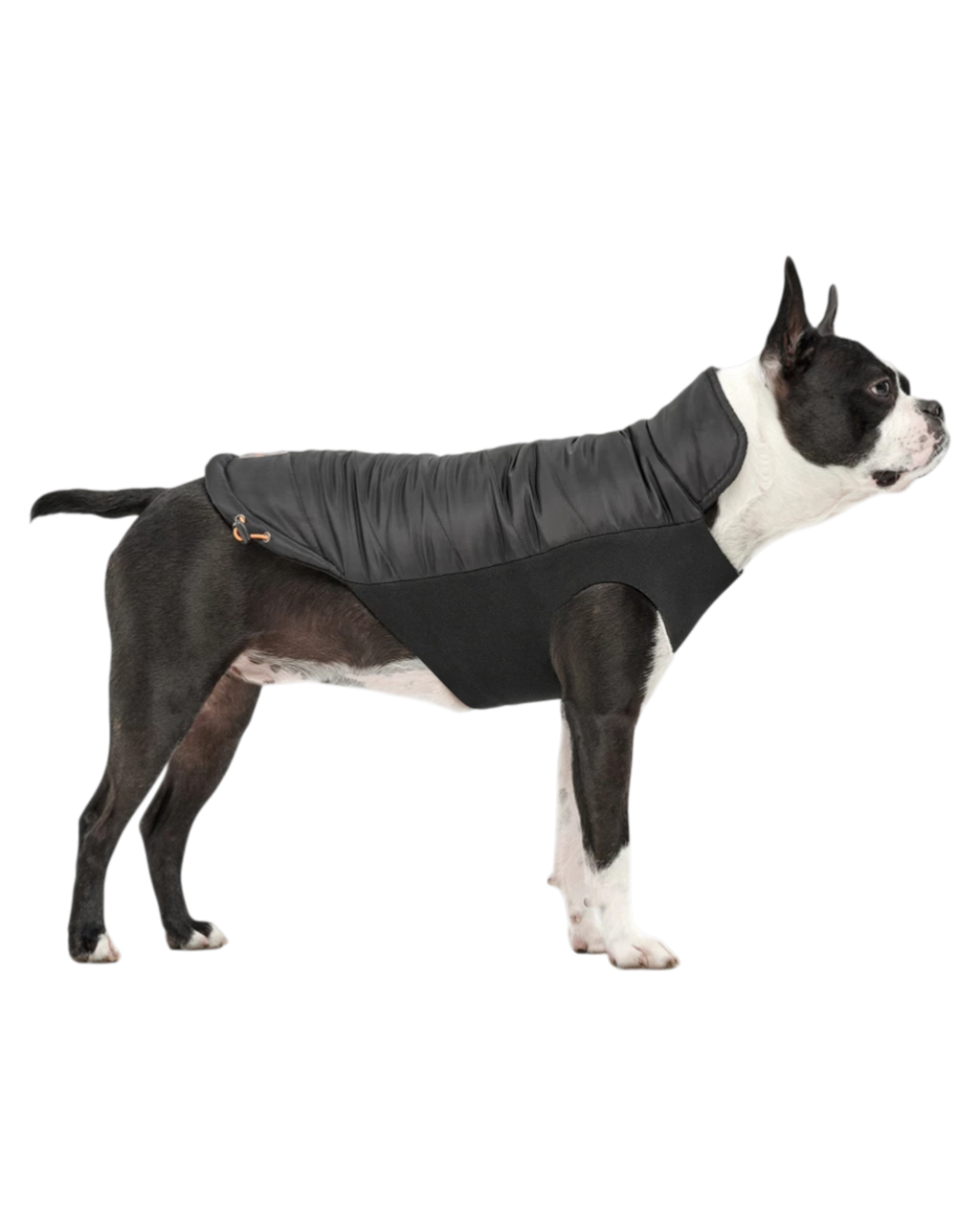 Goo-eez Mock Neck Signature Wrap Dog Jacket – Black