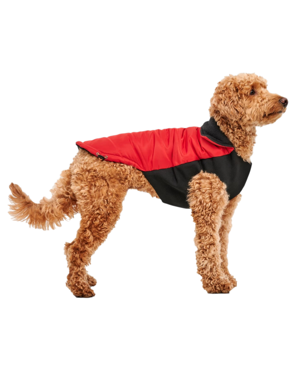 Goo-eez Mock Neck Signature Wrap Dog Jacket – Black and Red