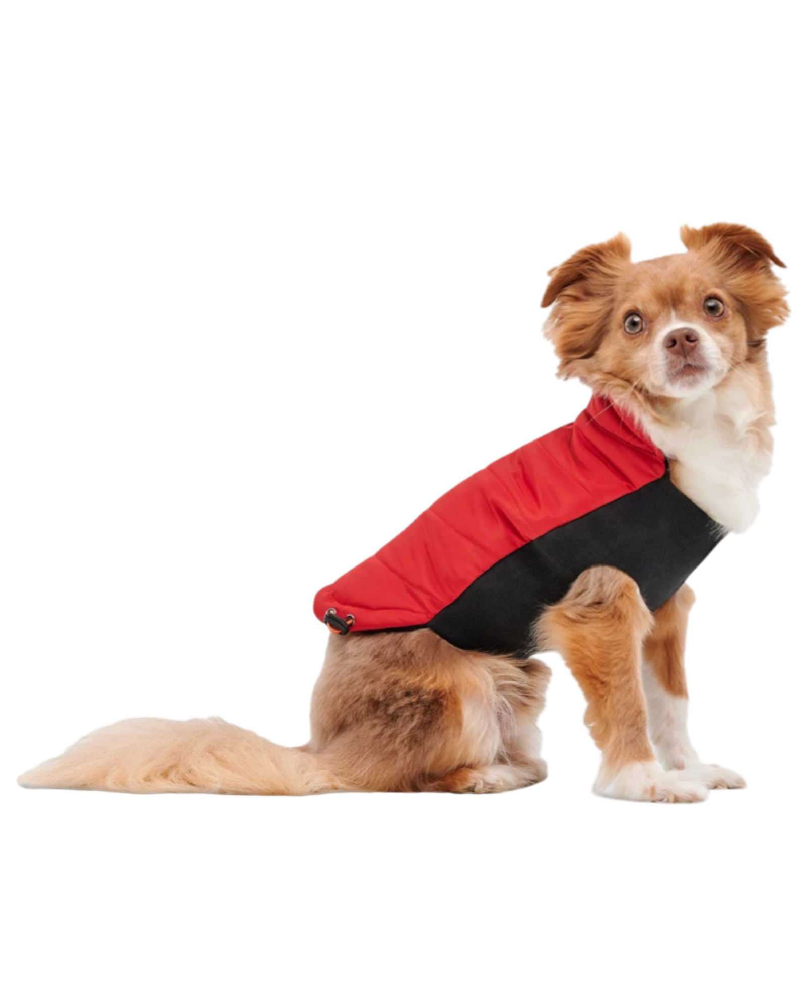 Goo-eez Mock Neck Signature Wrap Hundejacke – Schwarz und Rot 
