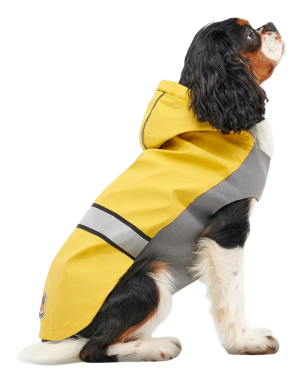 Goo-eez Reflective Hooded Raincoat for Dogs