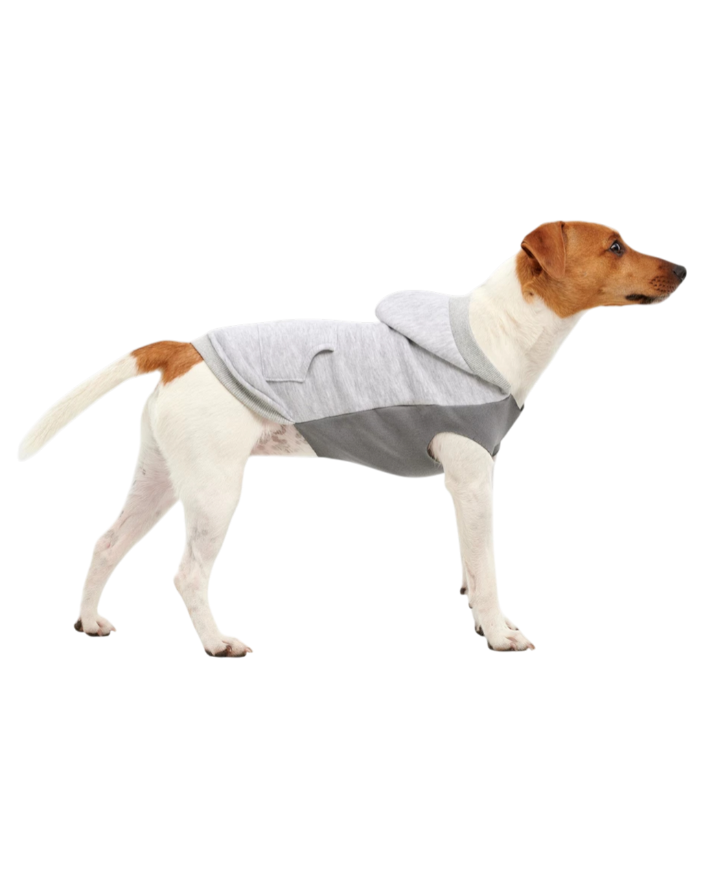 Goo-eez Kangaroo Fleece Dog Hoodie Gray
