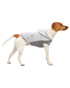 Goo-eez Kangaroo Fleece Dog Hoodie Gray