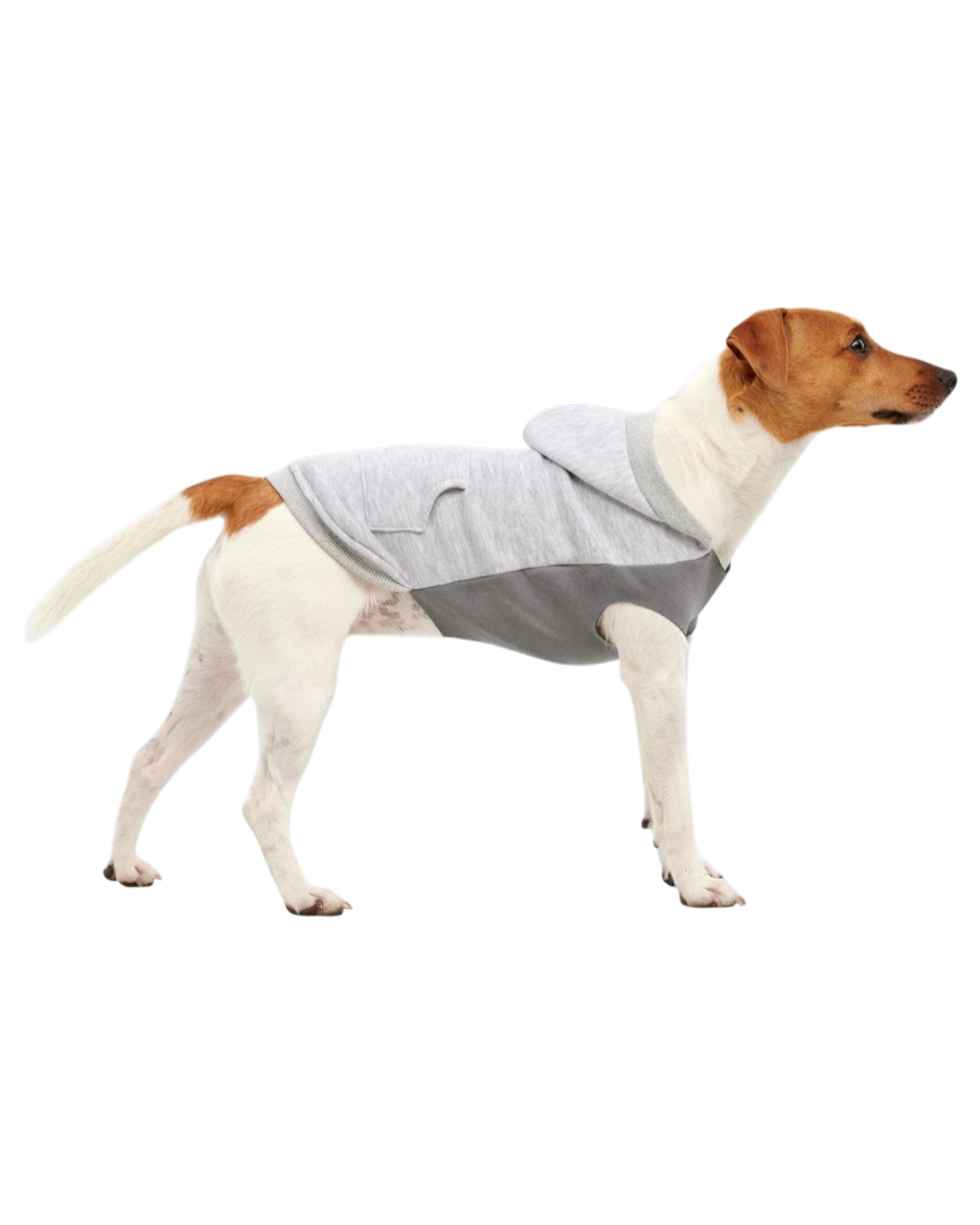 Goo-eez Känguru-Fleece-Hundehoodie Grau