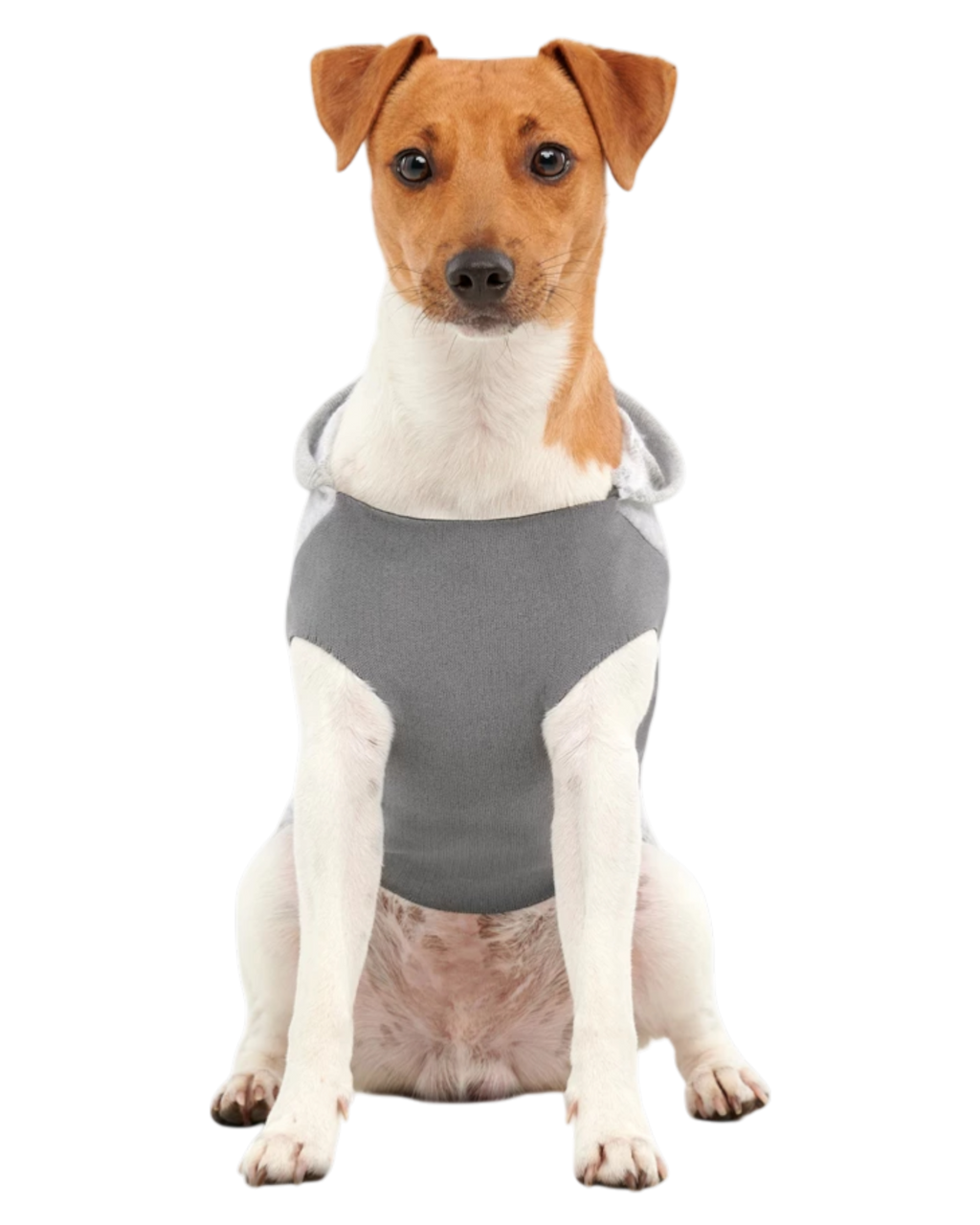 Goo-eez Kangaroo Fleece Dog Hoodie Gray