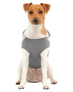 Goo-eez Kangaroo Fleece Dog Hoodie Gray