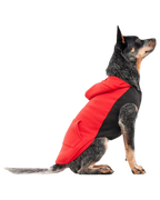 Goo-eez Kangaroo Fleece Dog Hoodie Red and Black