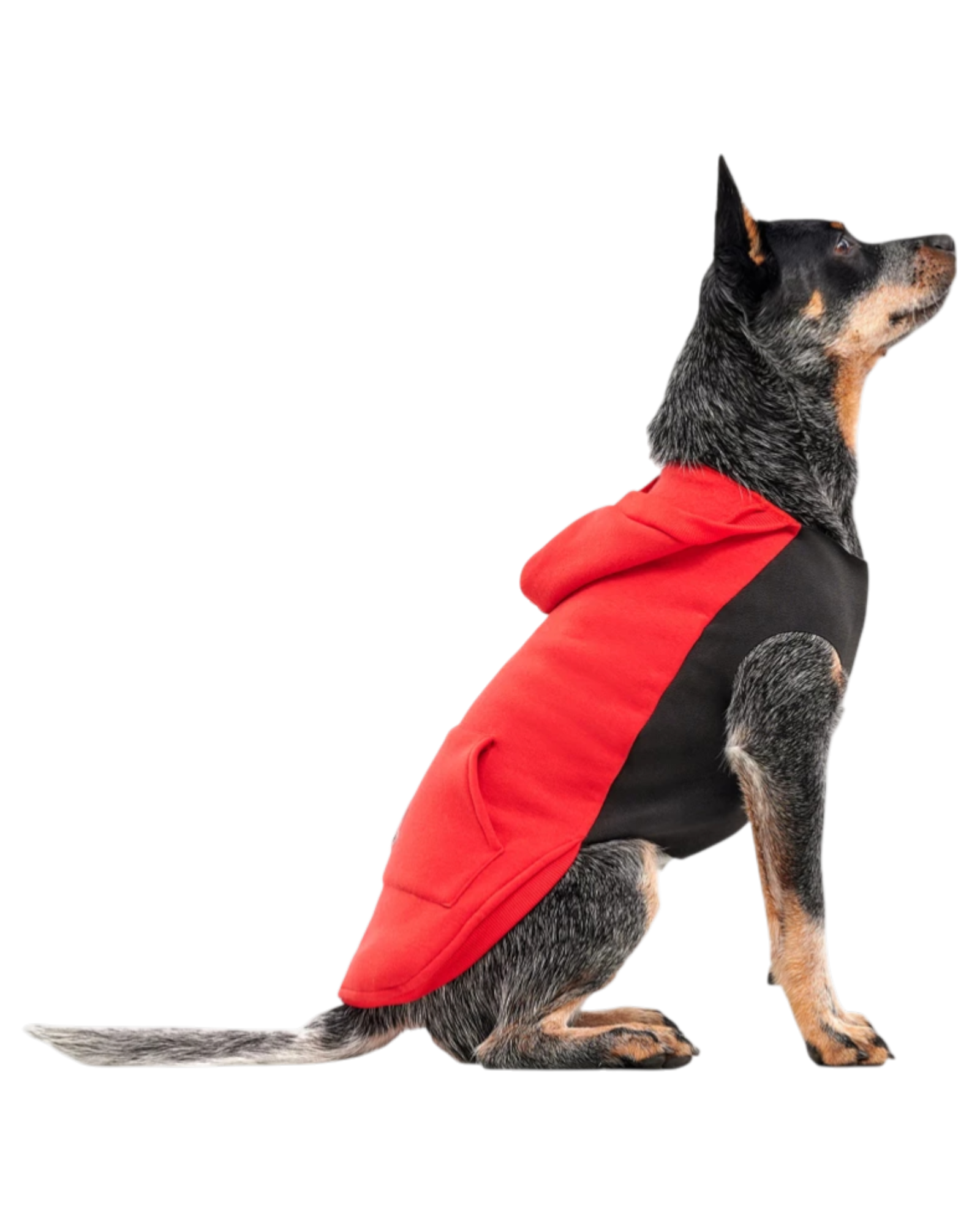 Goo-eez Känguru-Fleece-Hundehoodie, rot und schwarz