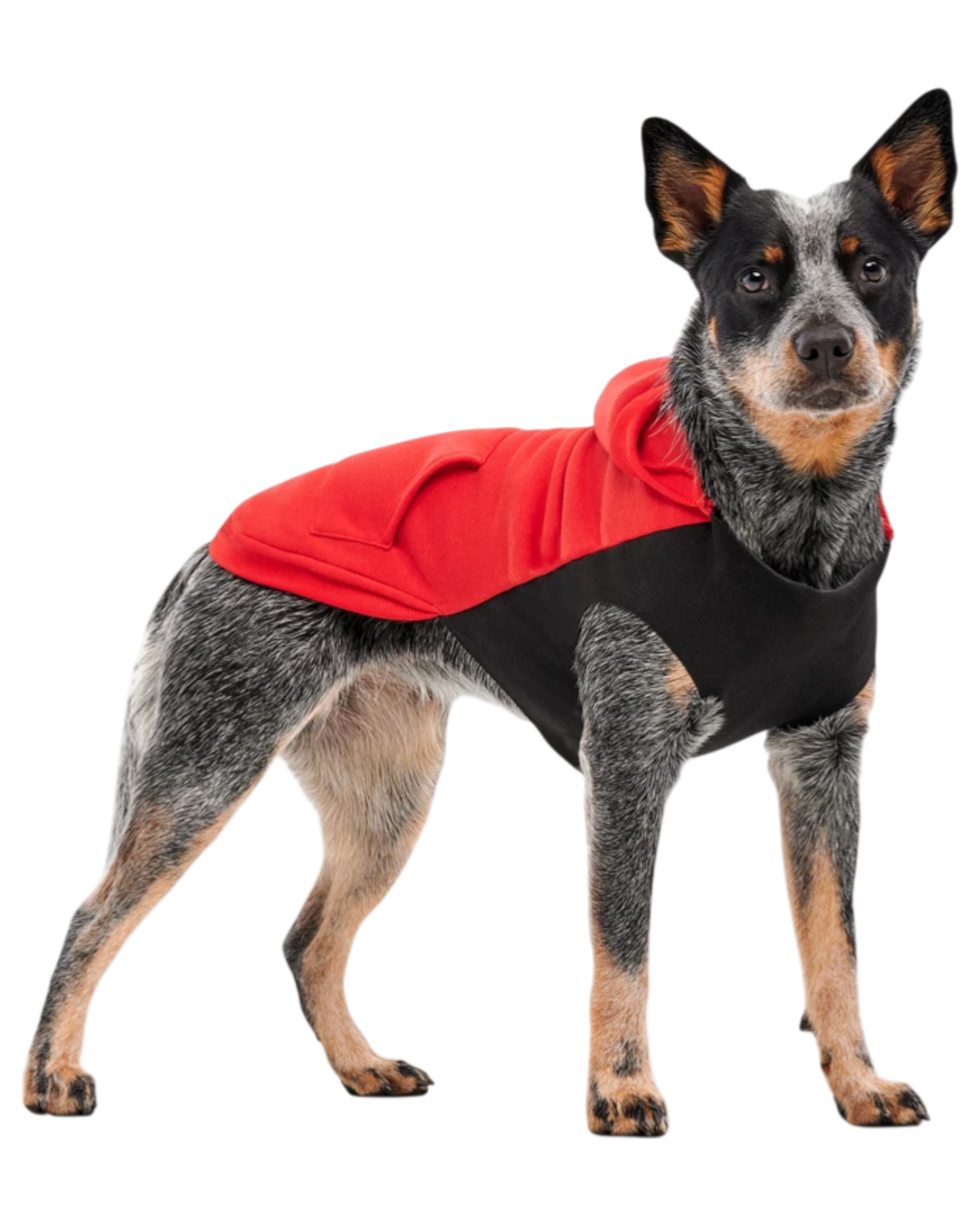 Goo-eez Känguru-Fleece-Hundehoodie, rot und schwarz