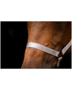 Ausgezeichnetes Premium-Horsehalfter, Grau