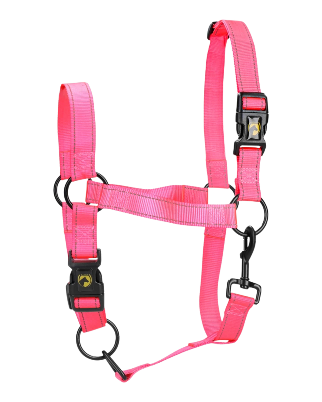 Hochwertiges, pinkfarbenes Halfter für Pferde – ein echtes Spitzenprodukt!