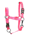 Hochwertiges, pinkfarbenes Halfter für Pferde – ein echtes Spitzenprodukt!