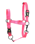 Hochwertiges, pinkfarbenes Halfter für Pferde – ein echtes Spitzenprodukt!