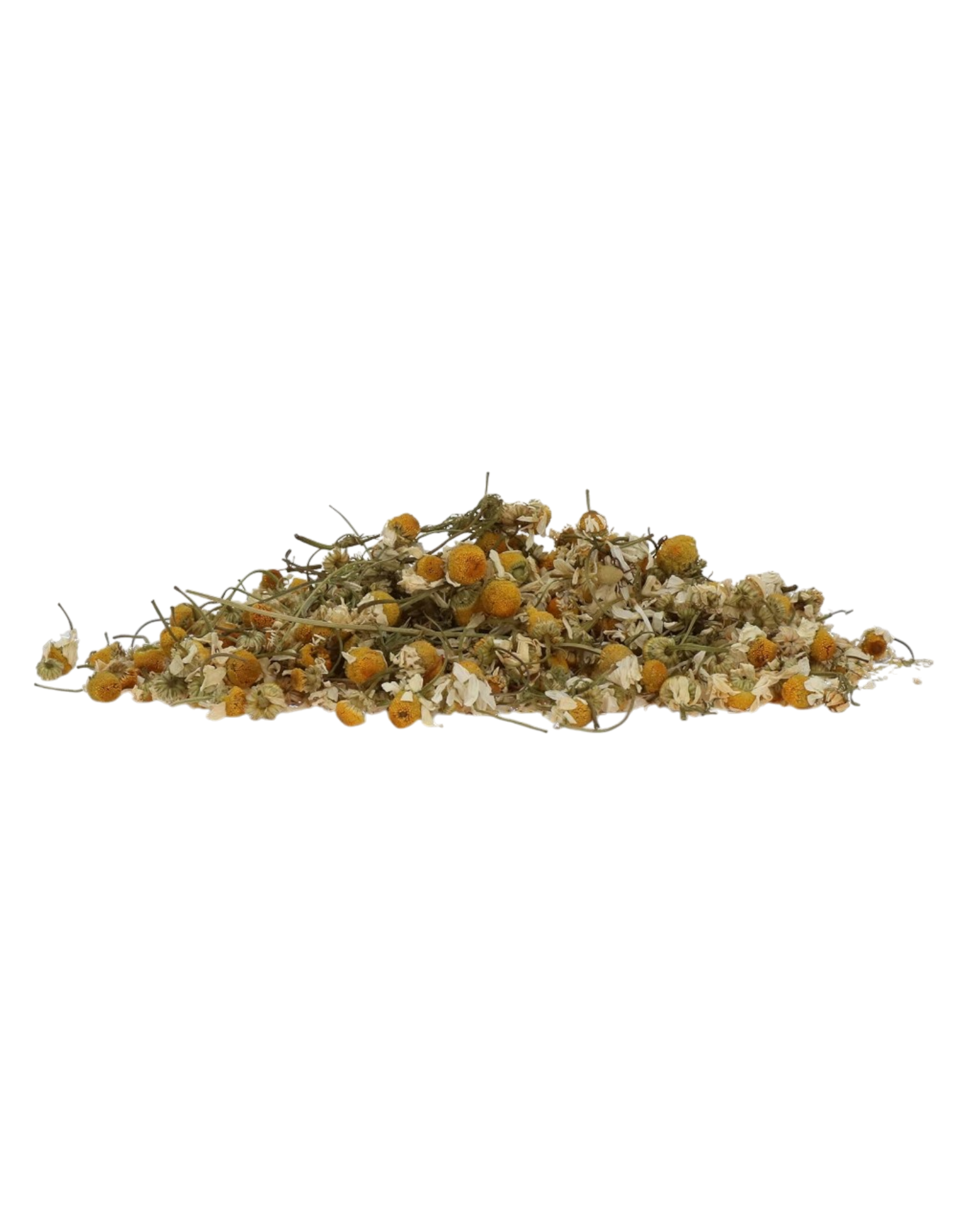 Excellent Horse Chamomile supports digestion and relaxes