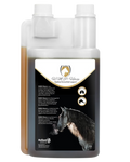 Excellent Horse H.M.P. Liquid 1 l – flüssige Unterstützung für Atemwege und Bronchien des Pferdes