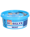 Horslyx Mini Mint 650 g – Vitamin-Minzleckstein für Pferde