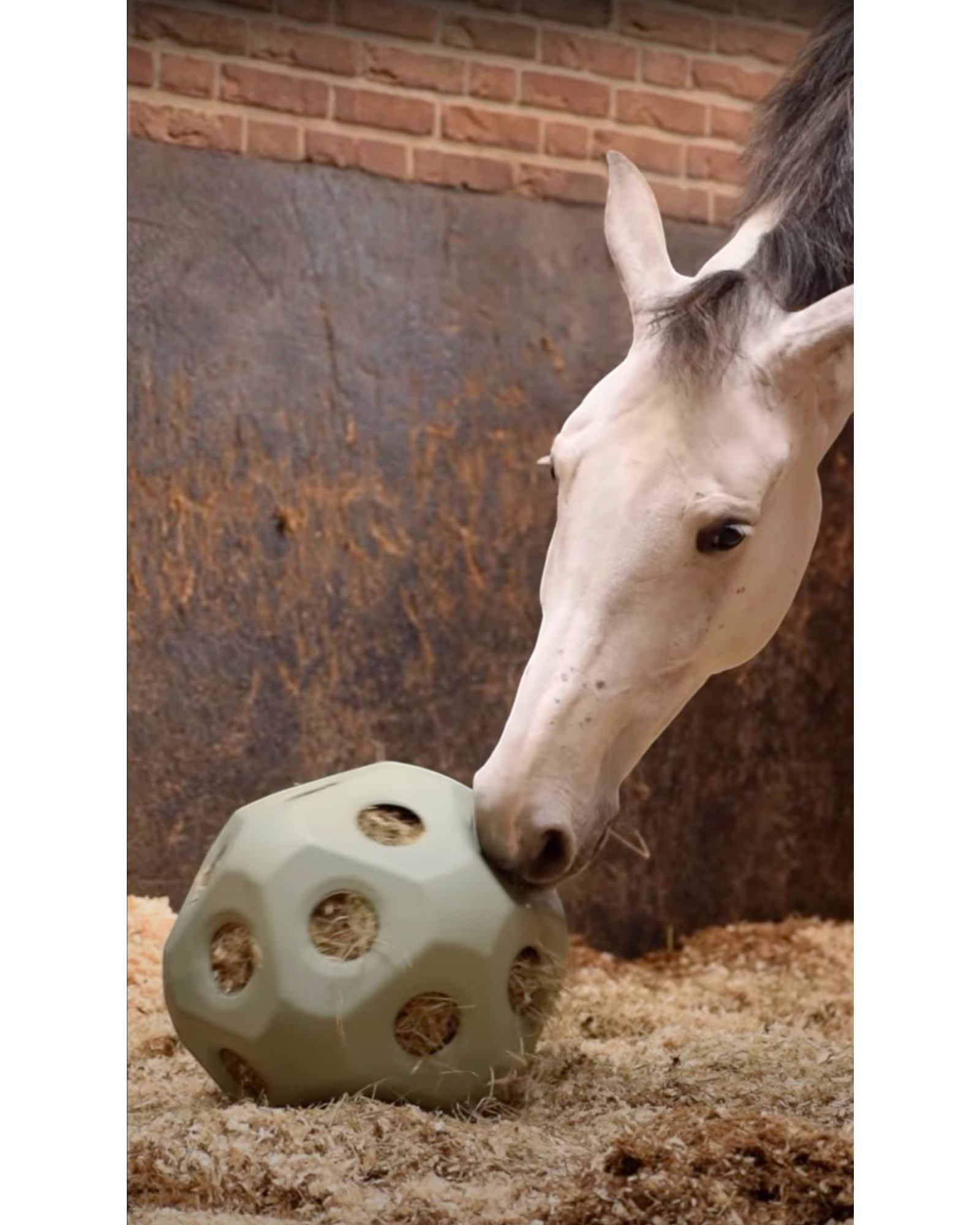 Excellent Horse Feed &amp; Play Ball – Slow Eating Feed Ball, Purple