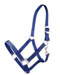 Weidehalfter für Pferde Canter Club BASIS – Marineblau, Weinrot, FULL/COB/PONY