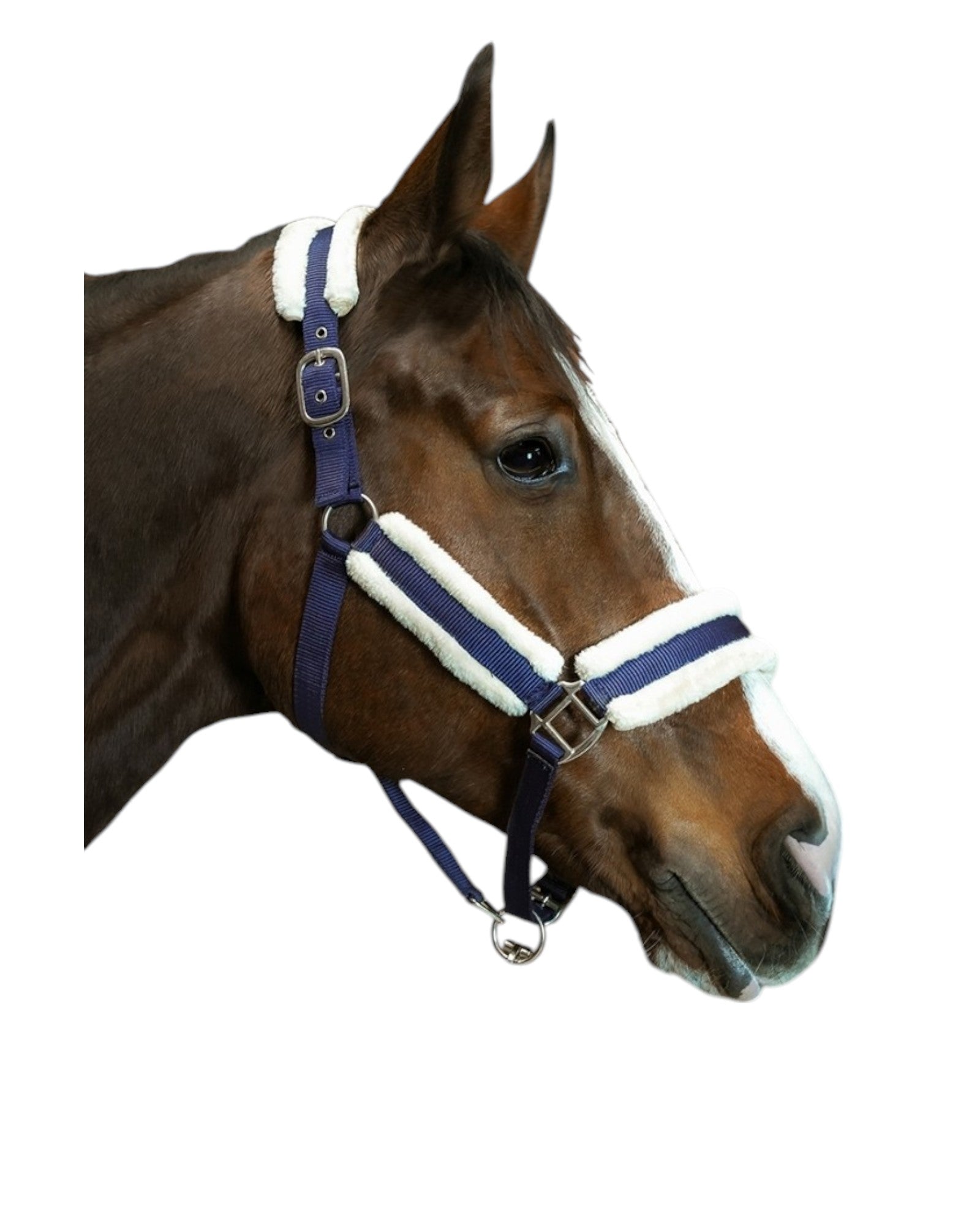 Paardenhalster met bont marineblauw Canter Club