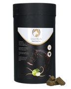 Excellent Horse Sweet Blocks Apple – Bezzbożowe smakołyki dla koni z jabłkiem